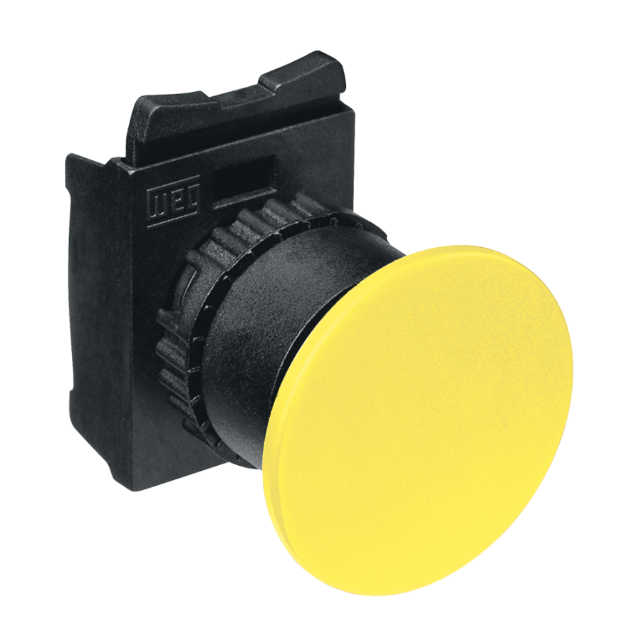 Pushbutton