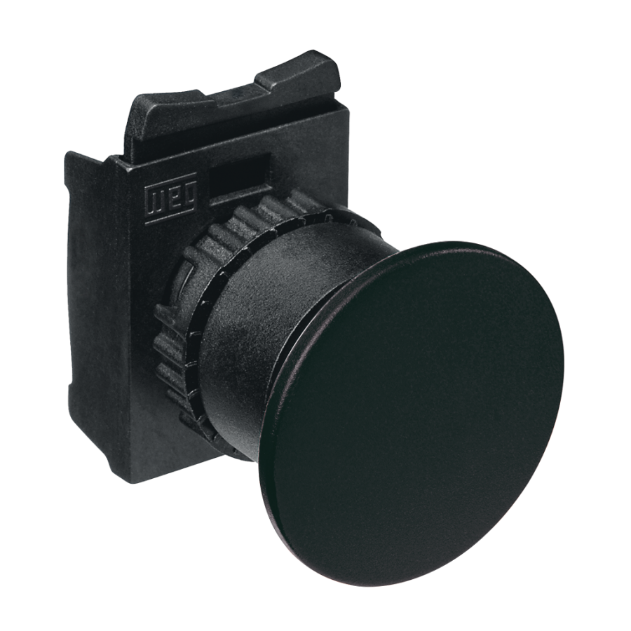 Pushbutton