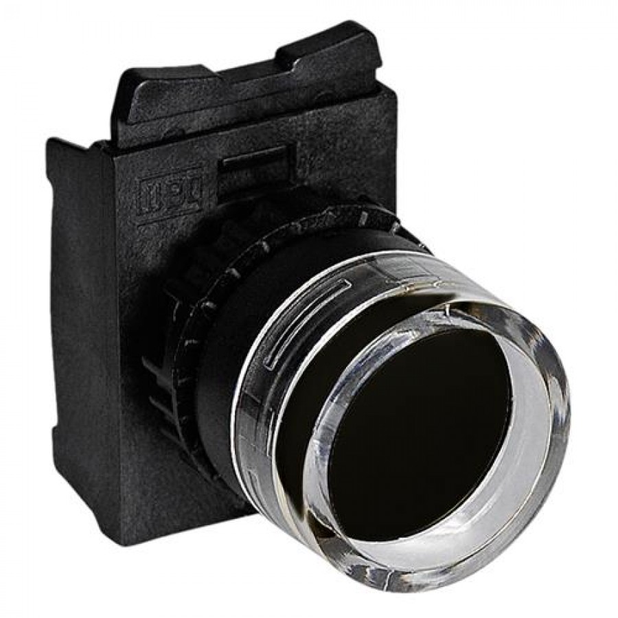 Pushbutton