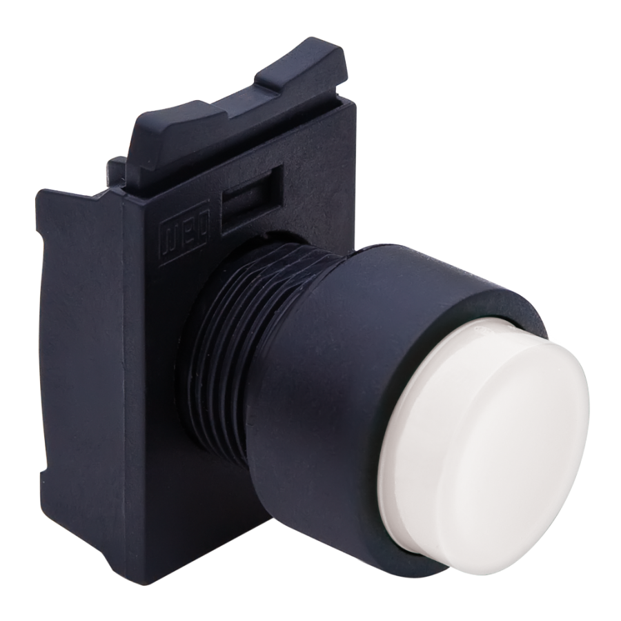 Pushbutton