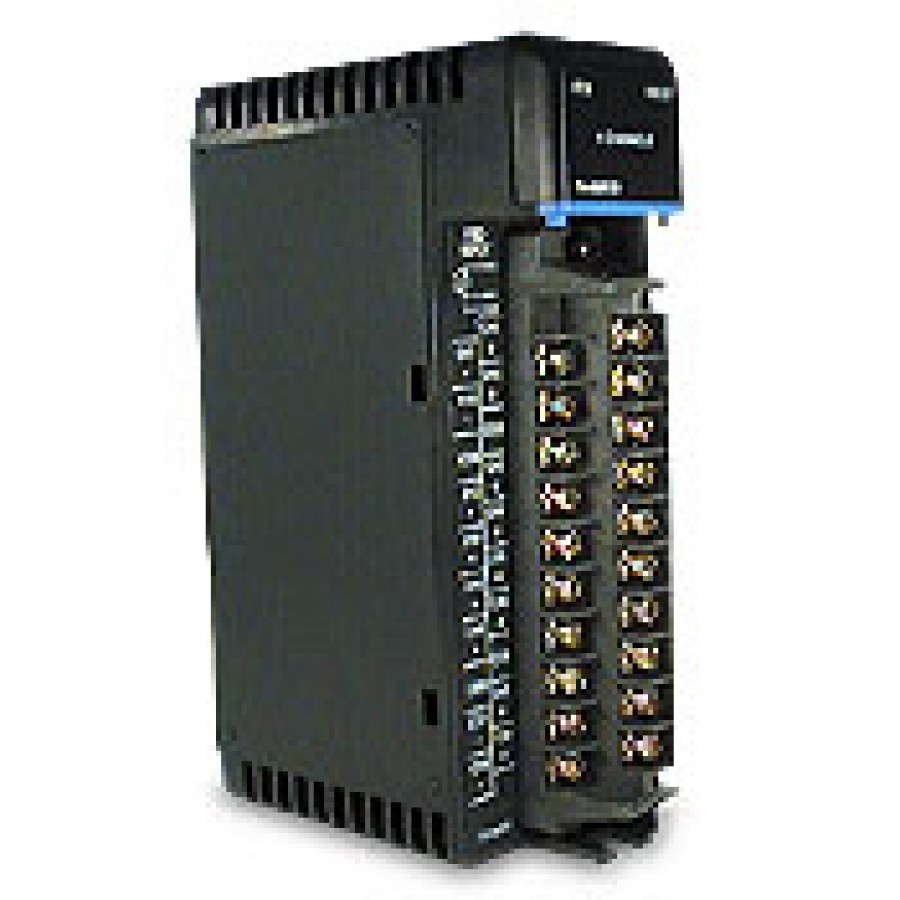 8 ch RTD Input Module - DL405 Temperature Input Modules - DL405 PLC