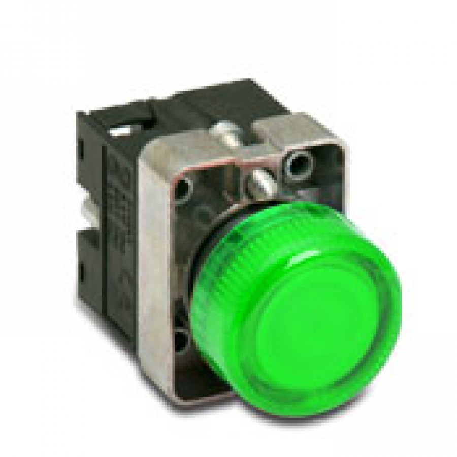 Indicating Light