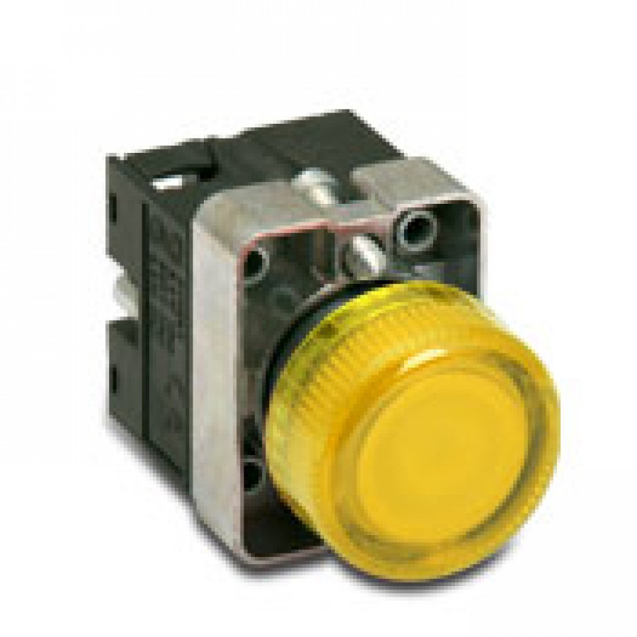 Indicating Light
