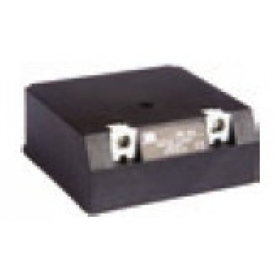 Electronic Module