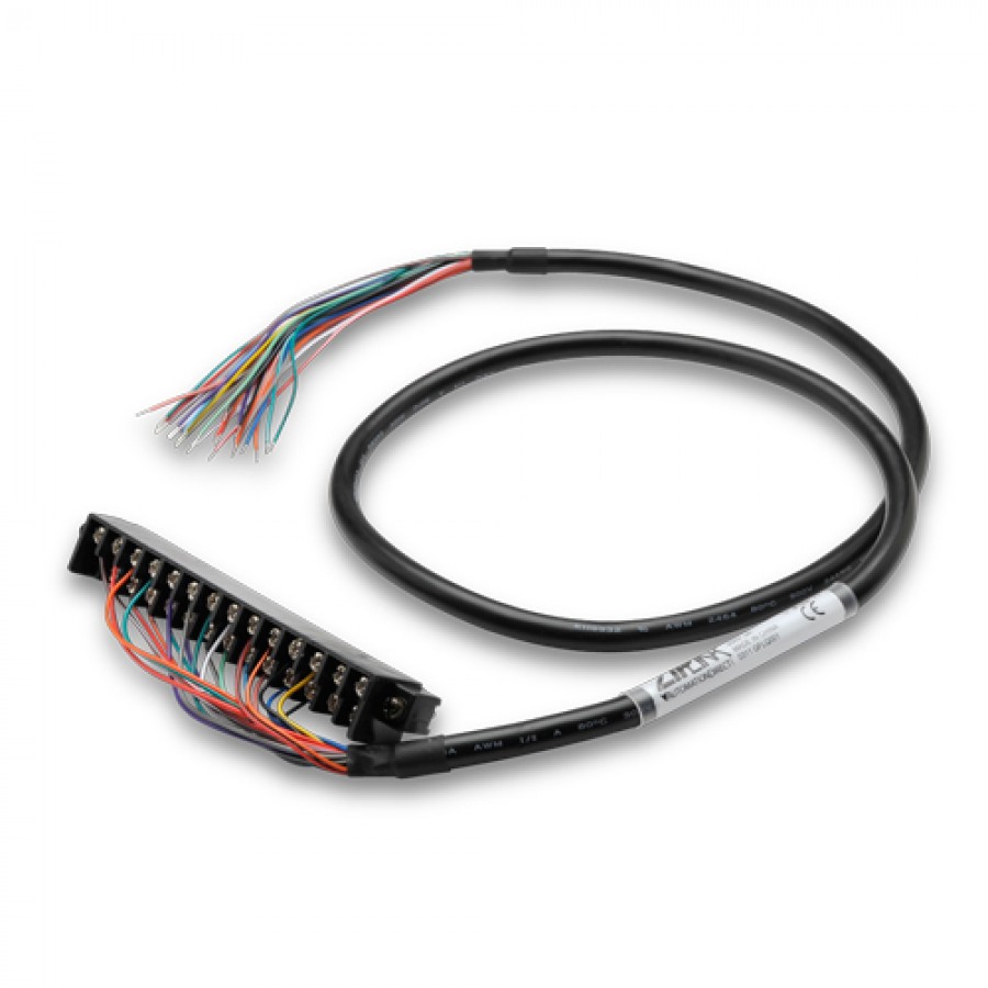 fixed I/O with 24 term 1mtr