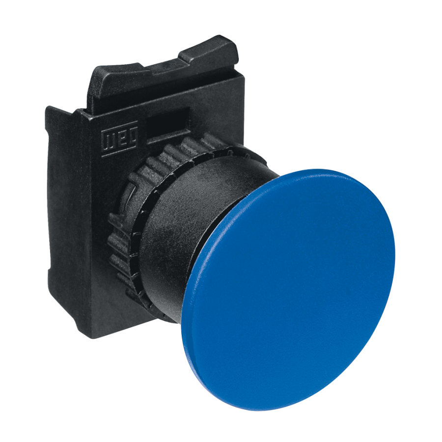 Pushbutton