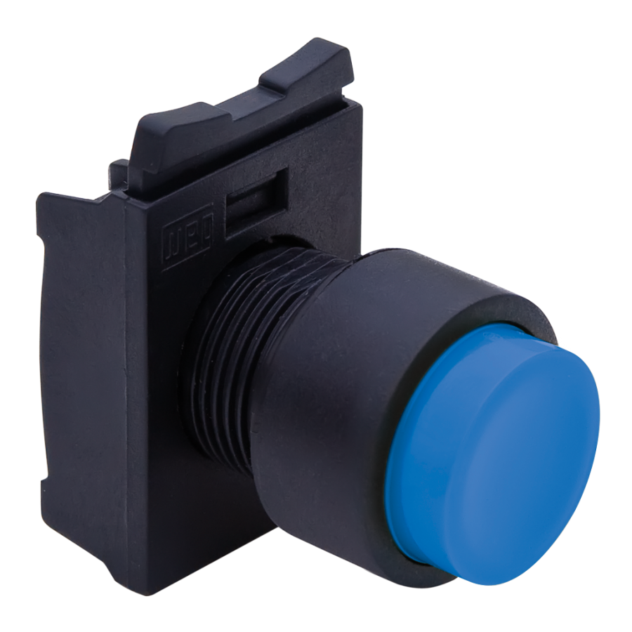 Pushbutton