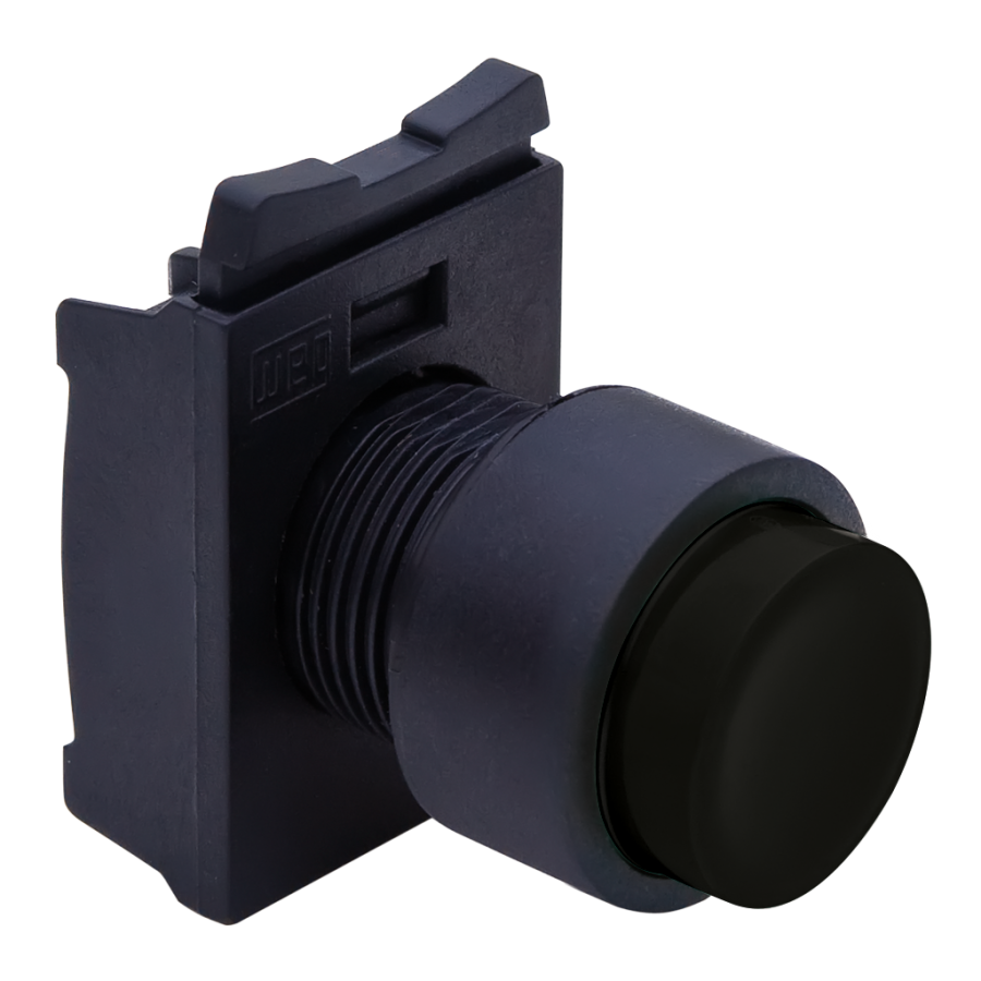 Pushbutton
