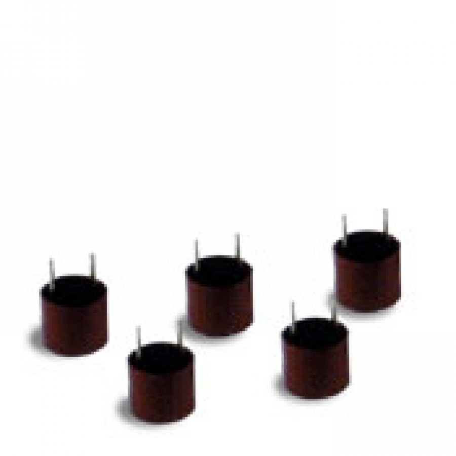 6.3A Slow Blow fuse (5 pack)