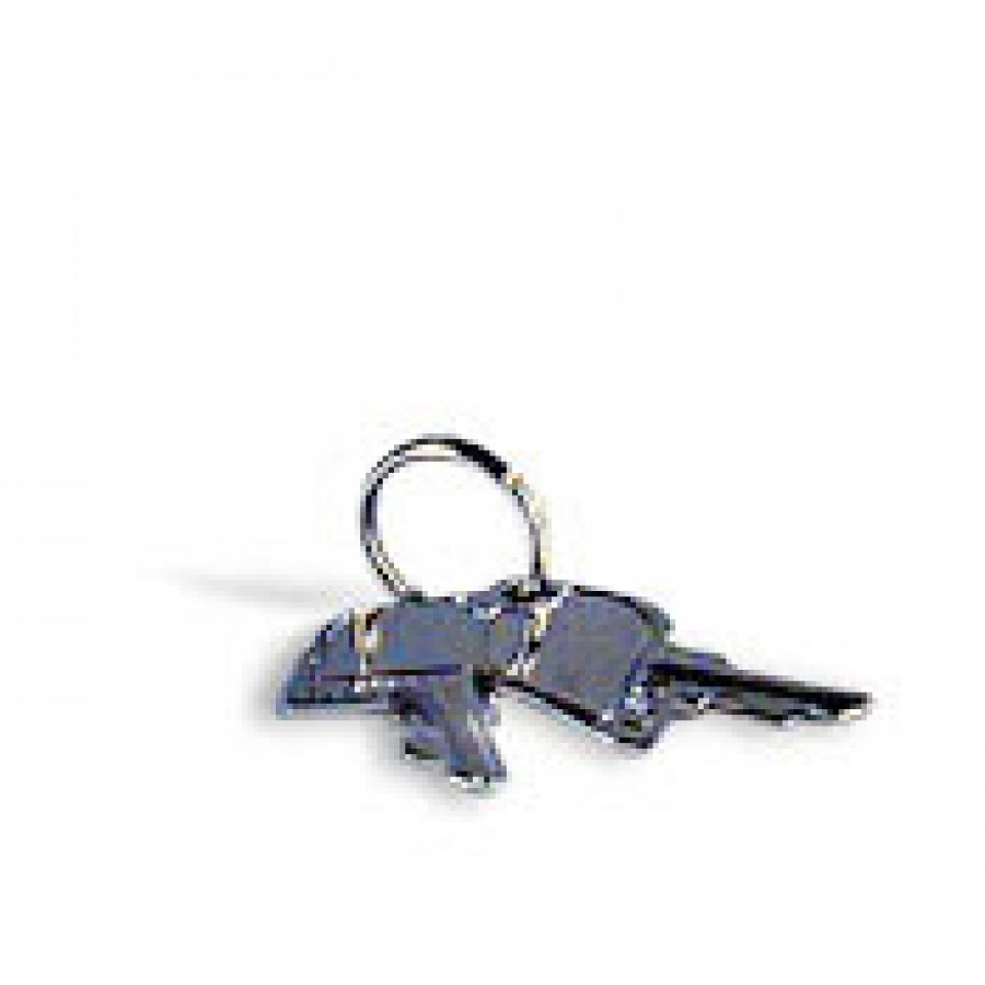 Spare key for DL405 CPU