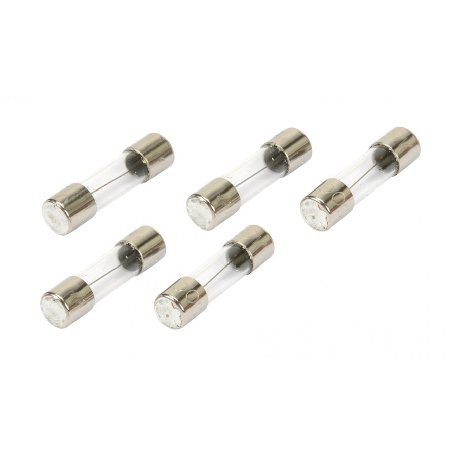 AC/Relay Output Module Fuses