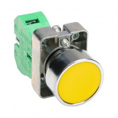 Pushbutton - Non Illuminated