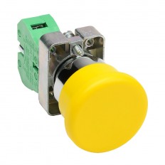 Pushbutton - Non Illuminated