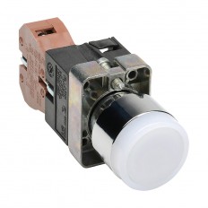 Pushbutton - Illuminated