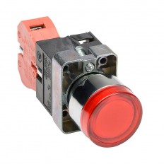 Pushbutton - Illuminated