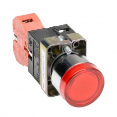 Pushbutton - Illuminated