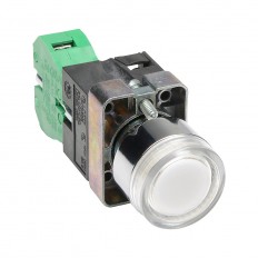 Pushbutton - Illuminated