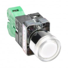 Pushbutton - Illuminated