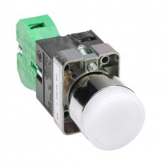 Pushbutton - Illuminated