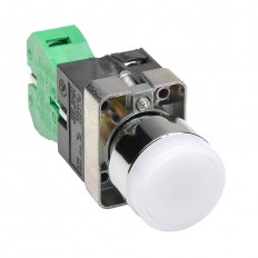 Pushbutton - Illuminated