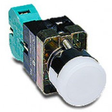 Pushbutton - Illuminated