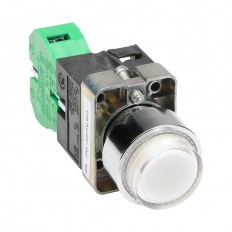 Pushbutton - Illuminated