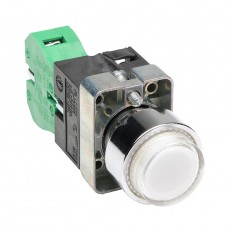 Pushbutton - Illuminated