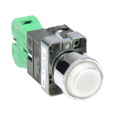 Pushbutton - Illuminated