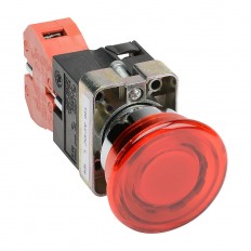 Pushbutton - Illuminated