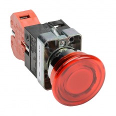 Pushbutton - Illuminated