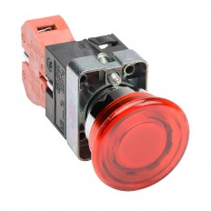 Pushbutton - Illuminated