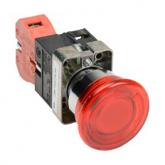 Pushbutton - Illuminated