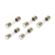 AC/Relay Output Module Fuses