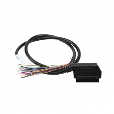 ZpLnk 10pos TmBk Pigtail 1m