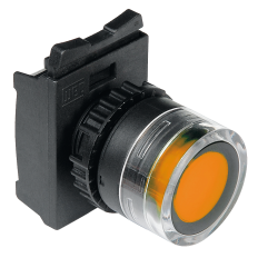 Pushbutton