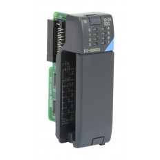 8 pt 24 Vdc Input