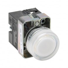 Indicating Light