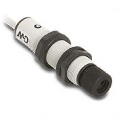 Fiber amplifier