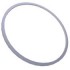 1 Repl Gasket for 6in bezels