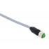 M12 Shielded female 4pole 5mtr
