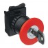 Pushbutton