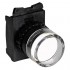Pushbutton
