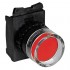 Pushbutton