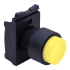 Pushbutton