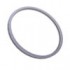 1 Repl Gasket for 6in panels