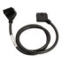 1 m 24 Pos DL output Cbl